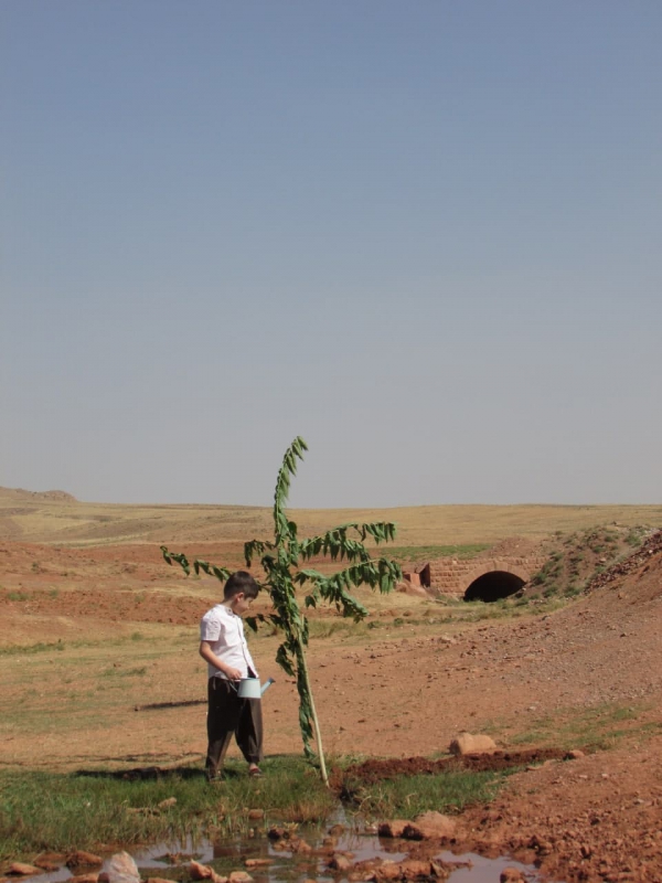 Oktay Vahidi Azar - Tree - اکتای وحیدی آذر - کاشت درخت - پایان کورپیسی  